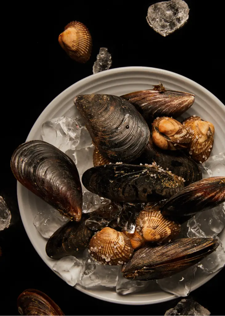 Capriciano Santa Rosa Pesce & Molluschi